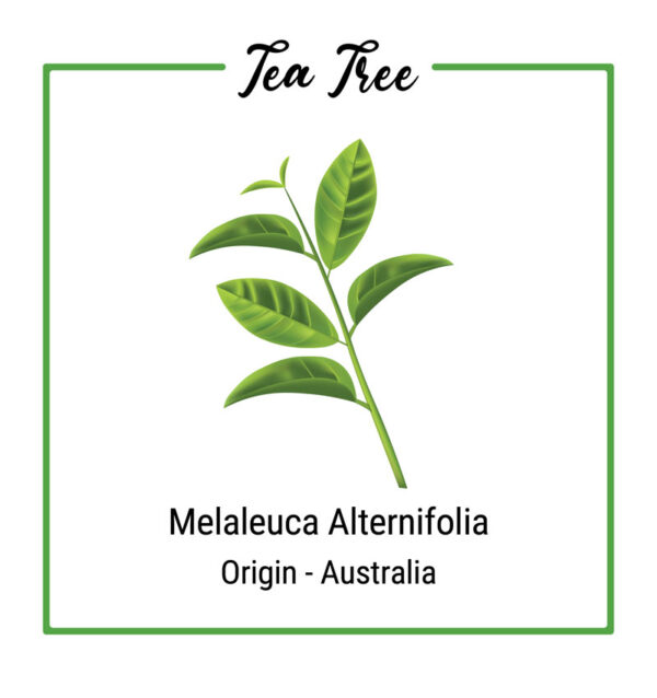 Organic Tea Tree